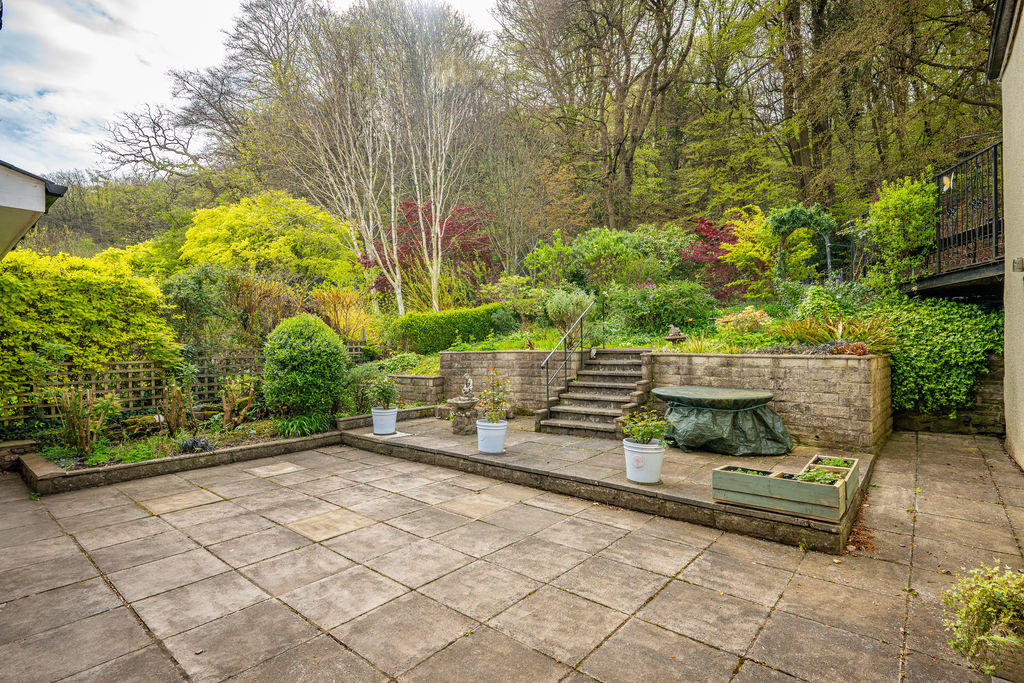 Rear Patio- click for photo gallery